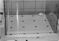 冷光源 大鼠洞板 洞板系统   新生鼠适配器