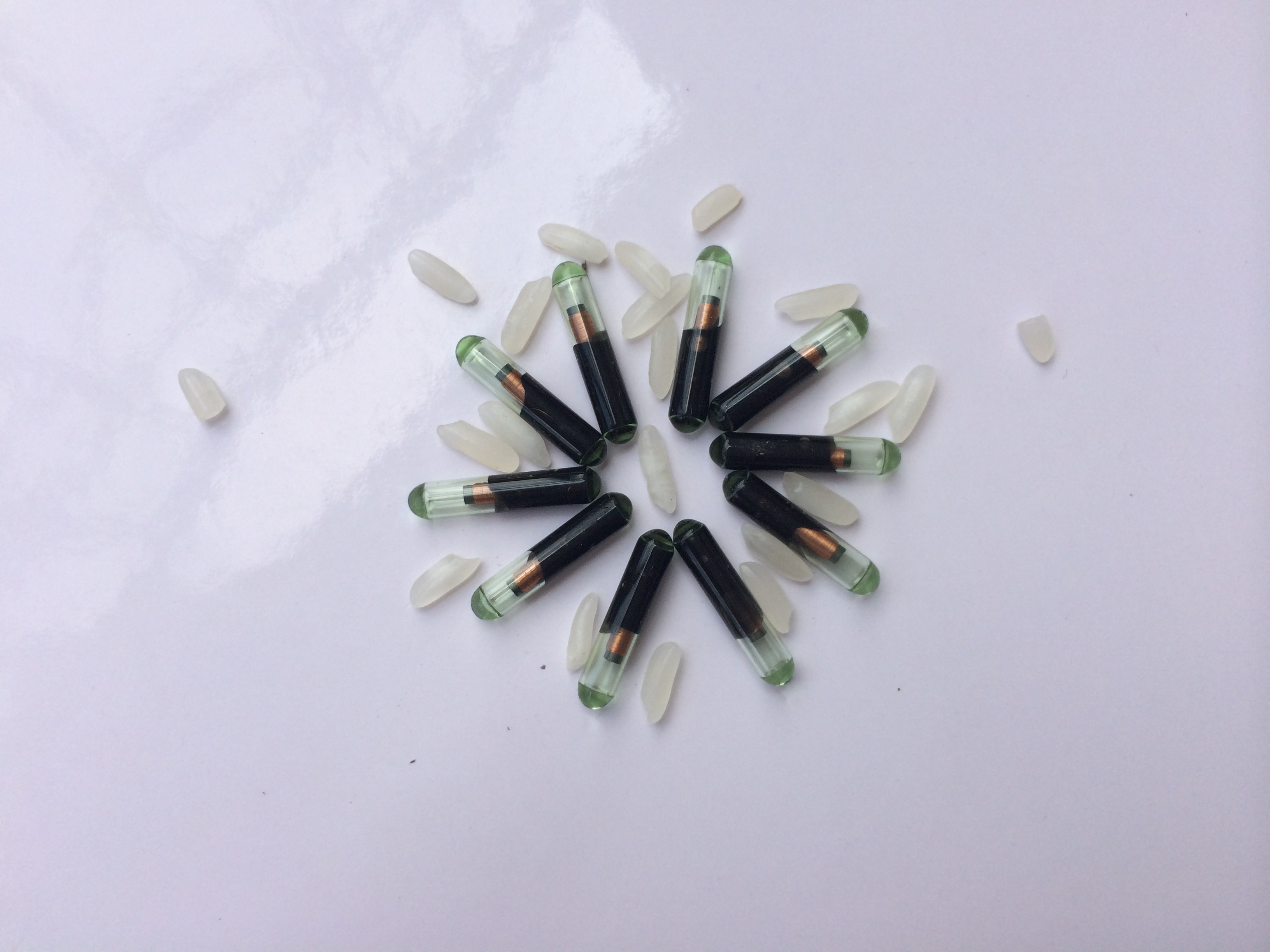 供应大小动物体内标记芯片，动物芯片标记