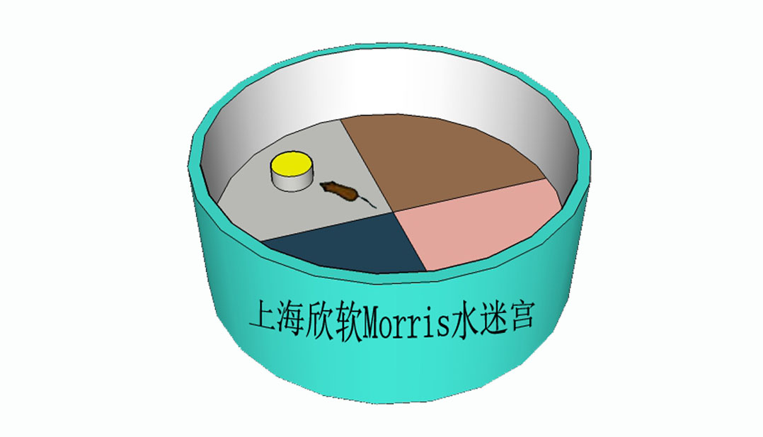 SuperMaze动物行为分析系统
