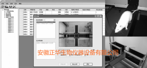 AI人工智能高架十字迷宫 AI人工智能高架十字迷宫视频分析系统