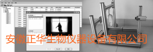 悬尾测试仪 焦虑监测系统 强迫游泳实验分析系统