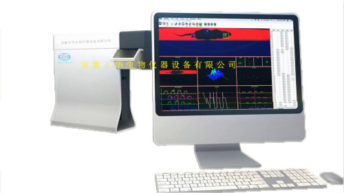运动足印姿态分析系统  动物步态分析系统  痛觉类仪器