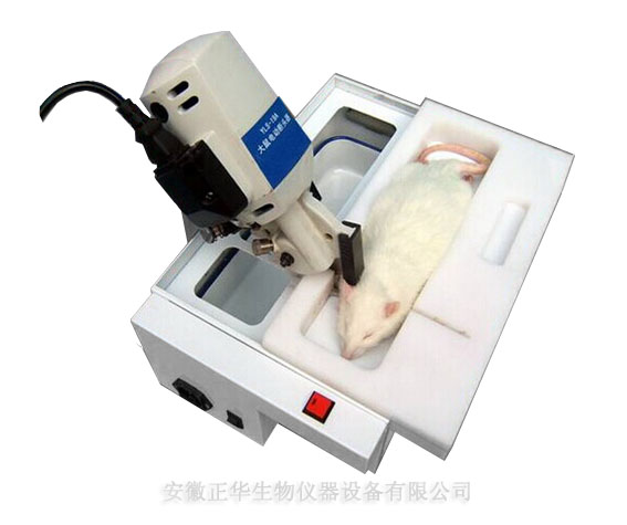ZH 电动断头器 小鼠固定筒架 大鼠固定筒架 仪器供应