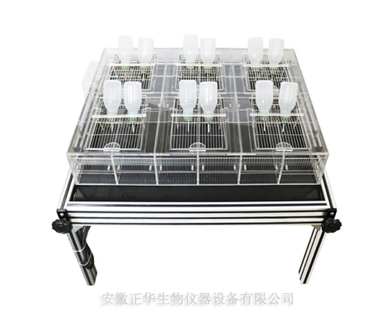小动物睡眠剥夺仪 转轮式睡眠剥夺仪 新型大小鼠睡眠剥夺仪 睡眠剥夺仪