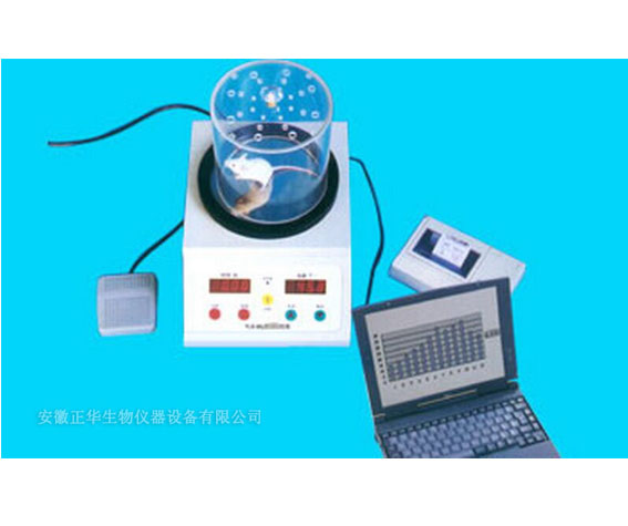 ZH 小鼠热板仪 大鼠热板仪 大小鼠冷热板仪 仪器供应
