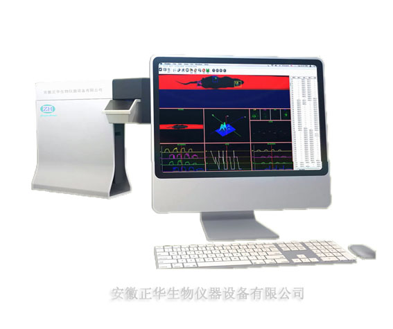 ZH 小动物三维步态分析仪 运动足印姿态分析系统 动物步态分析系统 仪器供应
