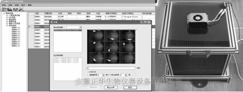 ZH 大鼠自发活动箱 大鼠活动记录仪 自发活动分析系统 仪器供应