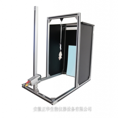AI人工智能悬尾实验视频分析系统
