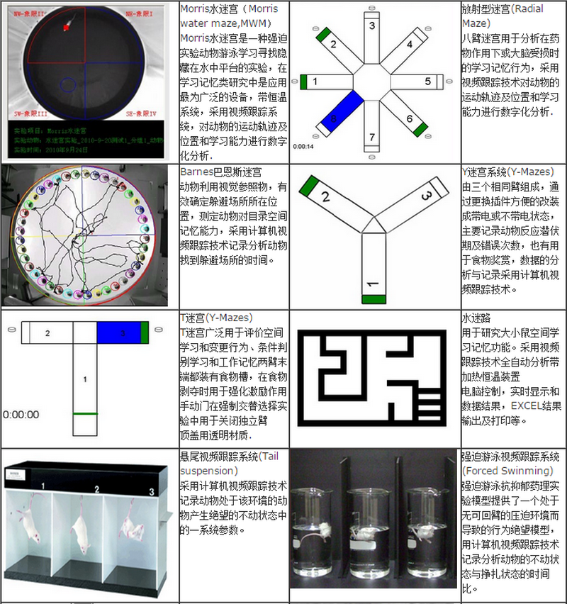 AI人工智能小动物精细行为 AI人工智能精细行为分析系统 多功能整合型精细行为识别分析系统