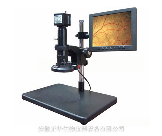 动物实验教学器材 ZH-ZKL 手术显微镜