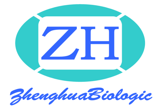 刺激器 捆绑呼吸换能器 血压血氧仪 全导联心电线 心电夹
