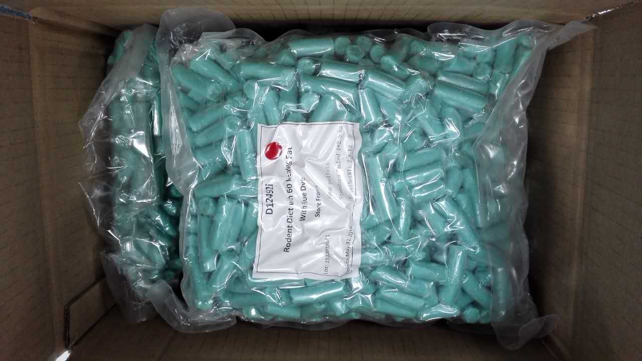 高脂造模饲料