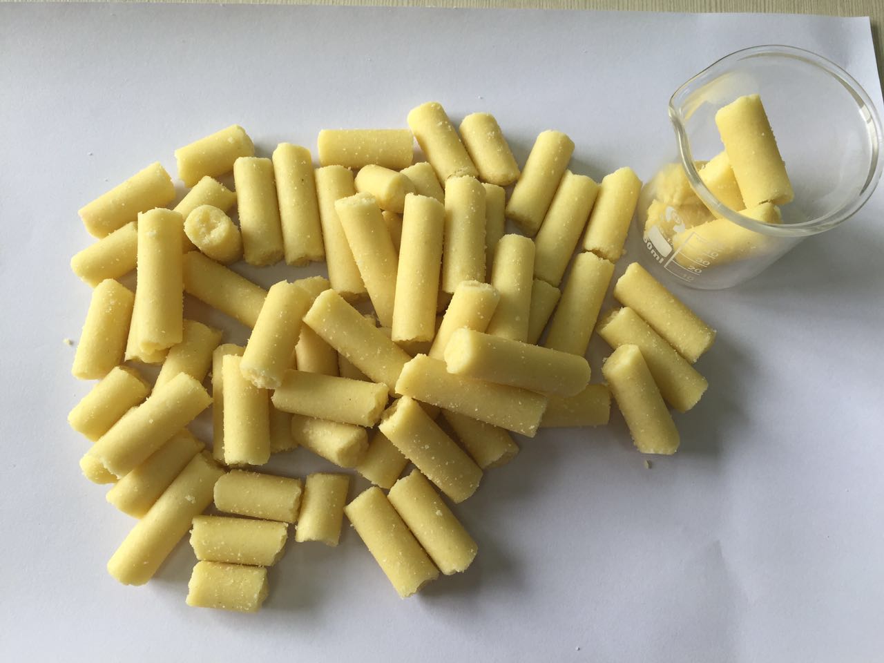 西方饮食诱导SPF动脉粥样硬化小鼠