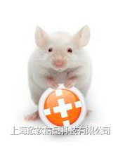 ANY-maze动物行为分析系统
