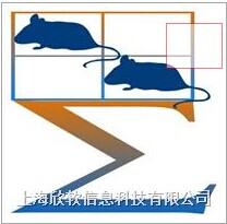 SuperMaze+高通量动物行为实验分析软件