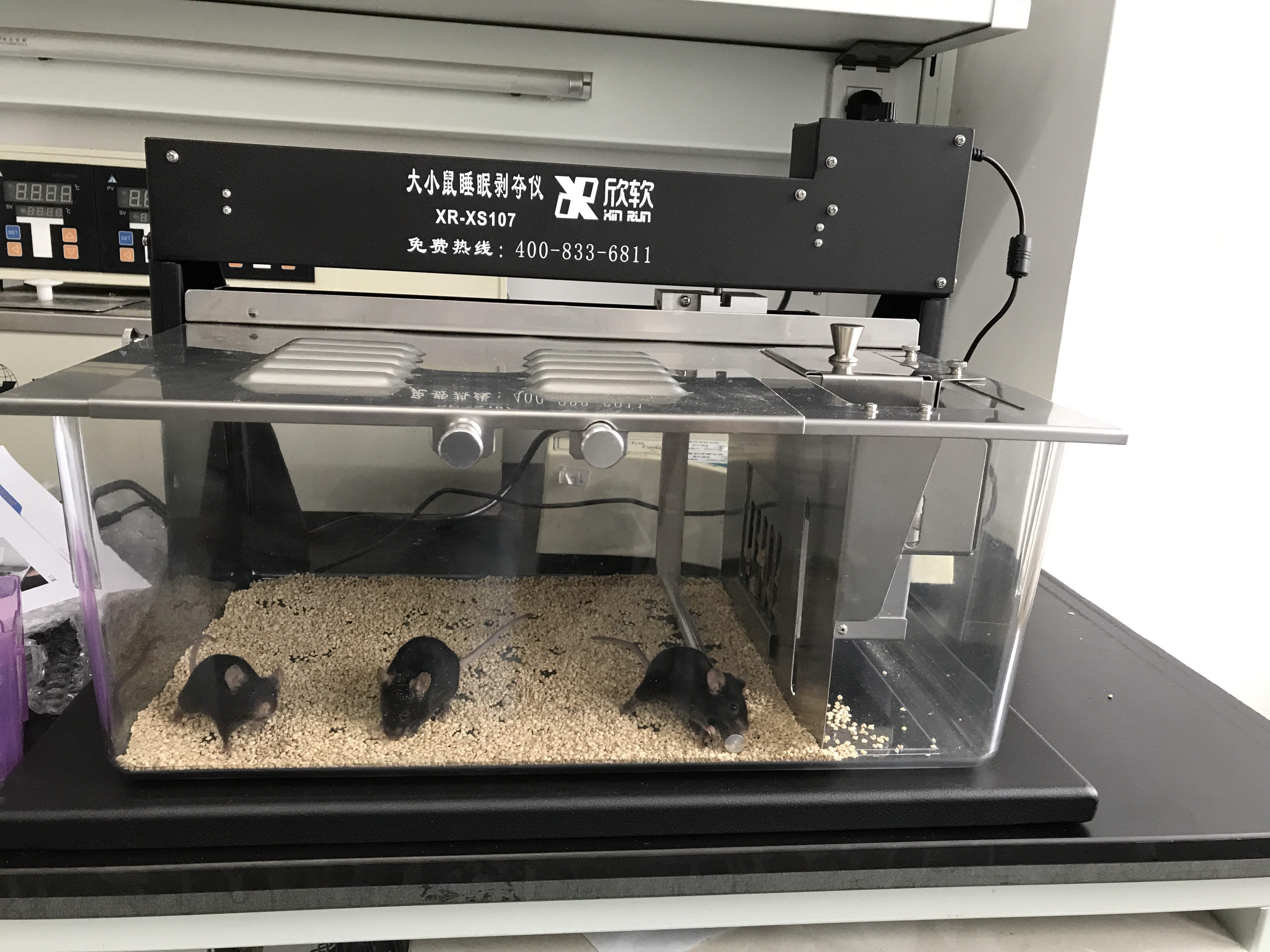 欣软新型大小鼠睡眠剥夺实验仪器