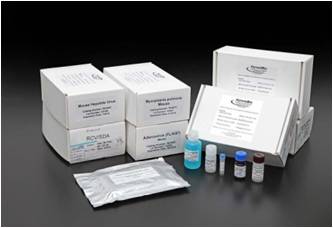 Xpressbio/Mouse Mycoplasma Arthritidis ELISA Kit