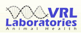 Minute Virus of Mice (MVM) ELISA Kit