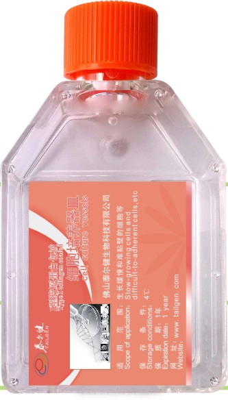 I型胶原蛋白包被细胞培养器皿