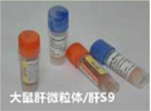 大鼠肝S9