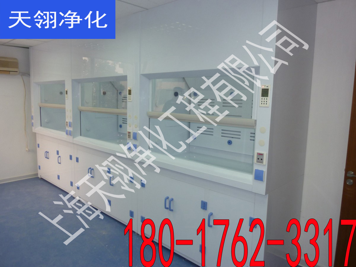 实验室家具 PP通风橱