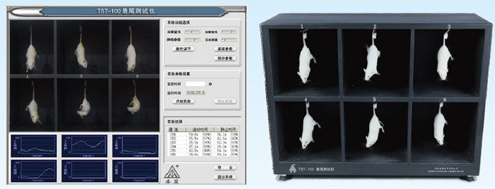 TST-100悬尾视频分析系统
