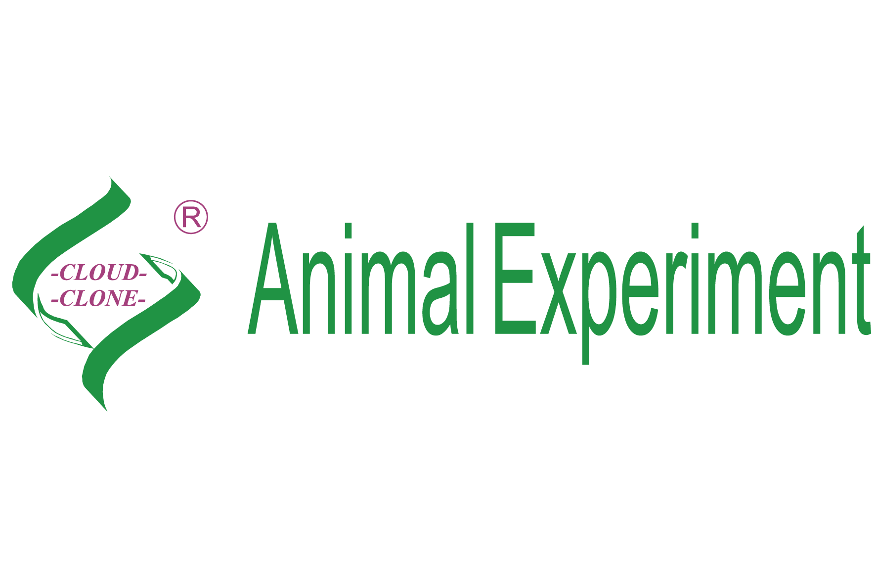 脓毒血症犬模型