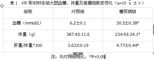 整体试验服务--动物疾病模型构建--STZ诱导的大鼠糖尿病模型