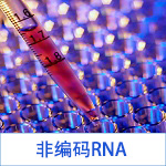 非编码RNA：microRNA和lncRNA检测