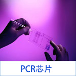 PCR芯片