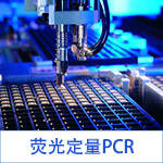 荧光定量PCR服务
