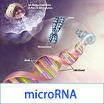 microrna芯片