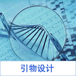 引物设计和引物优化服务