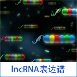 lncRNA 芯片