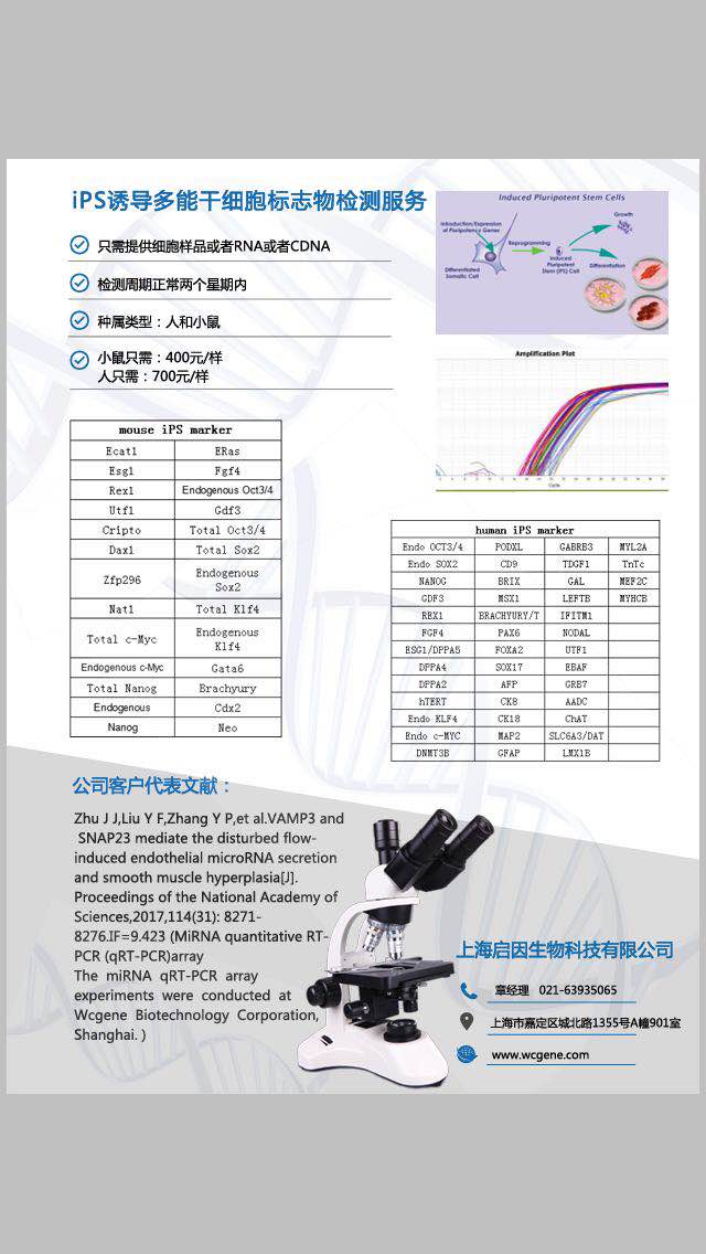 iPS诱导多能干细胞标志物检测服务
