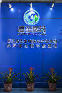 新生大鼠缺血缺氧性脑损伤模型