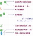 RIA（放射免疫法）实验技术服务