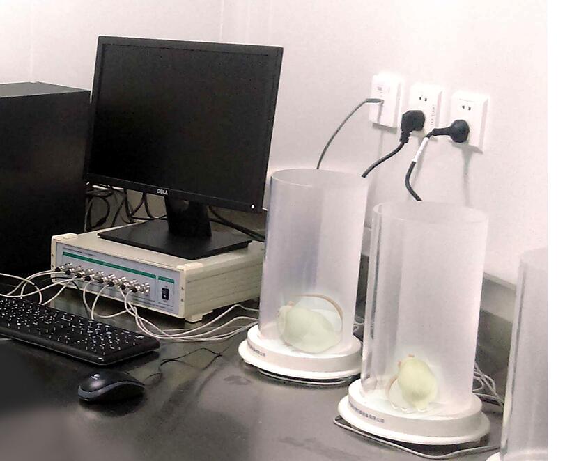 BW-FIP801  福尔马林炎症疼痛模型自动检测仪