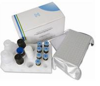 糖化血红蛋白（GHb）测定试剂盒（比色法）