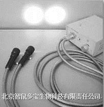 DB035型冷光源（双头）、大小鼠冷光源