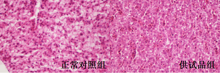 利用斑马鱼模型评价长期毒性