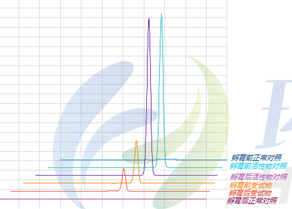 利用斑马鱼模型评价经皮吸收功效