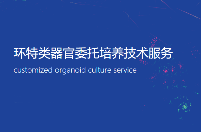类器官培养_模型构建_类器官科研_委托技术服务