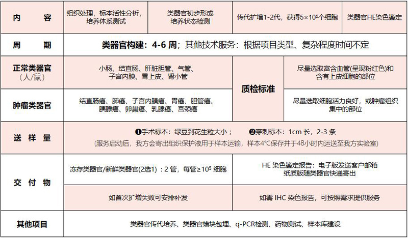环特生物辅助肿瘤科研与个性化用药解决方案！开年大放送，超值优惠！