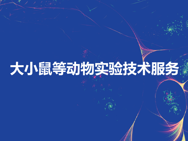 大小鼠模型实验CRO外包/大小鼠等动物实验技术服务