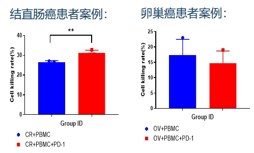 小鼠PDX模型构建 / 药敏检测 / 科研服务