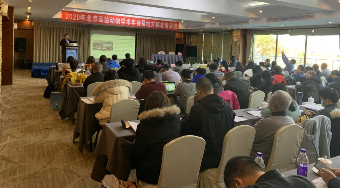 北京年会.png