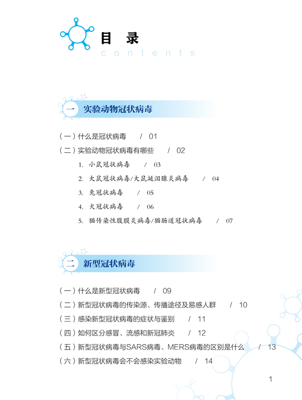 p3.jpg