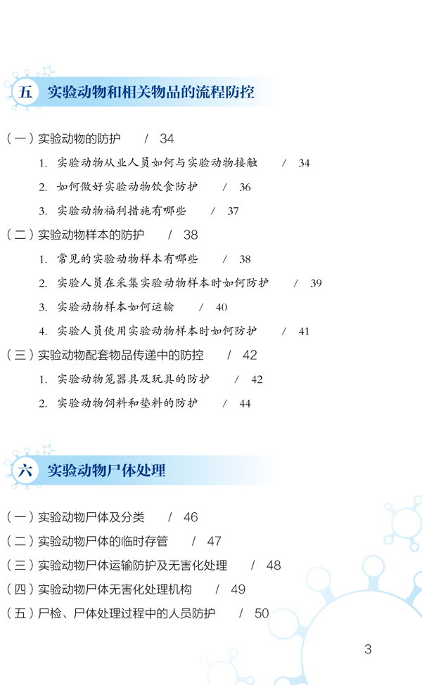 p5.jpg