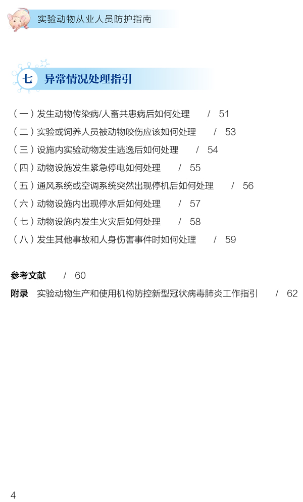 p6.jpg